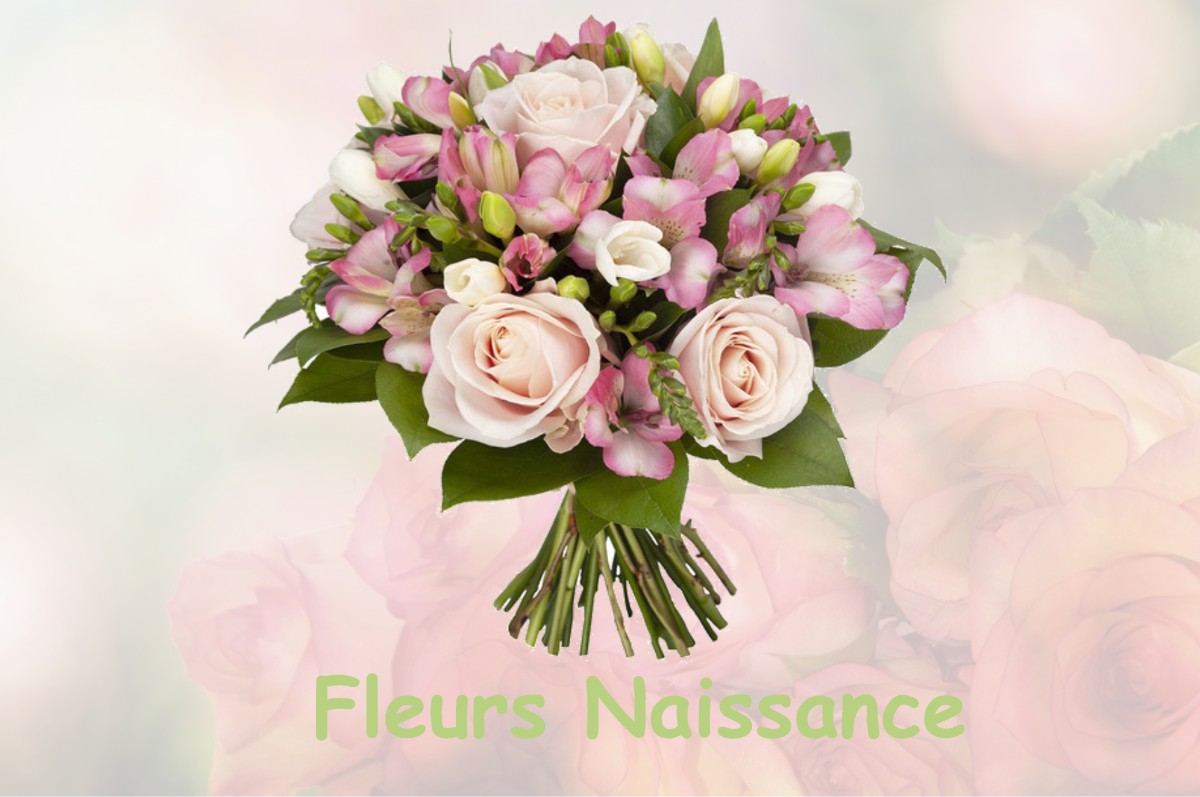 fleurs naissance SAINT-SEURIN-DE-PRATS